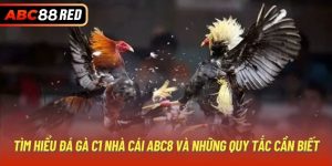 Tìm Hiểu Đá Gà C1 Nhà Cái ABC8 Và Những Quy Tắc Cần Biết