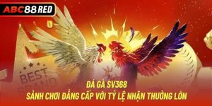 Đá Gà SV368 - Sảnh Chơi Đẳng Cấp Với Tỷ Lệ Nhận Thưởng Lớn