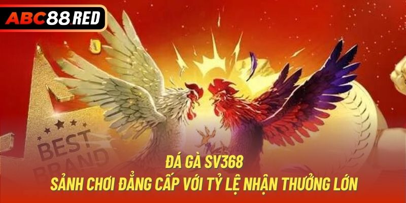 Đá Gà SV368 - Sảnh Chơi Đẳng Cấp Với Tỷ Lệ Nhận Thưởng Lớn