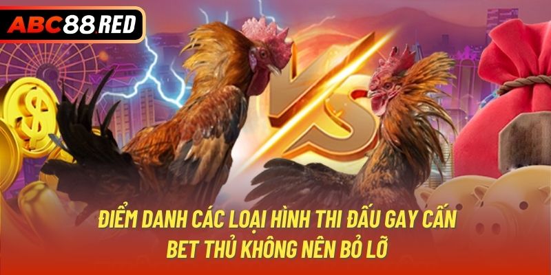 Điểm danh các loại hình thi đấu gay cấn bet thủ không nên bỏ lỡ