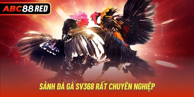 Sảnh đá gà SV368 rất chuyên nghiệp