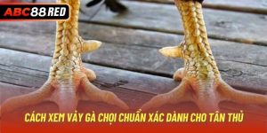 Cách Xem Vảy Gà Chọi Chuẩn Xác Dành Cho Tân Thủ